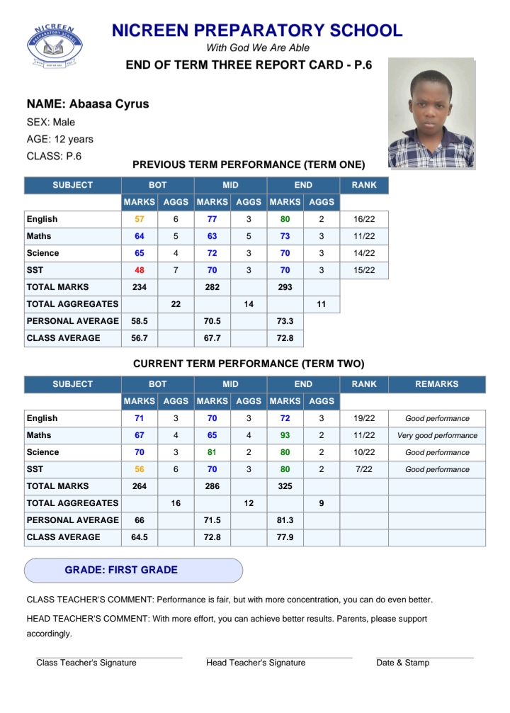 Precision Student Profiling Additional View